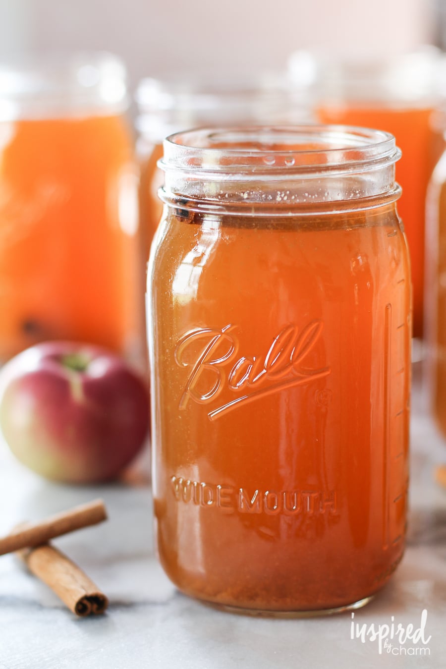 Homemade Apple Pie Moonshine Recipe #moonshine #apple #christmas #gift #holdiay #recipe