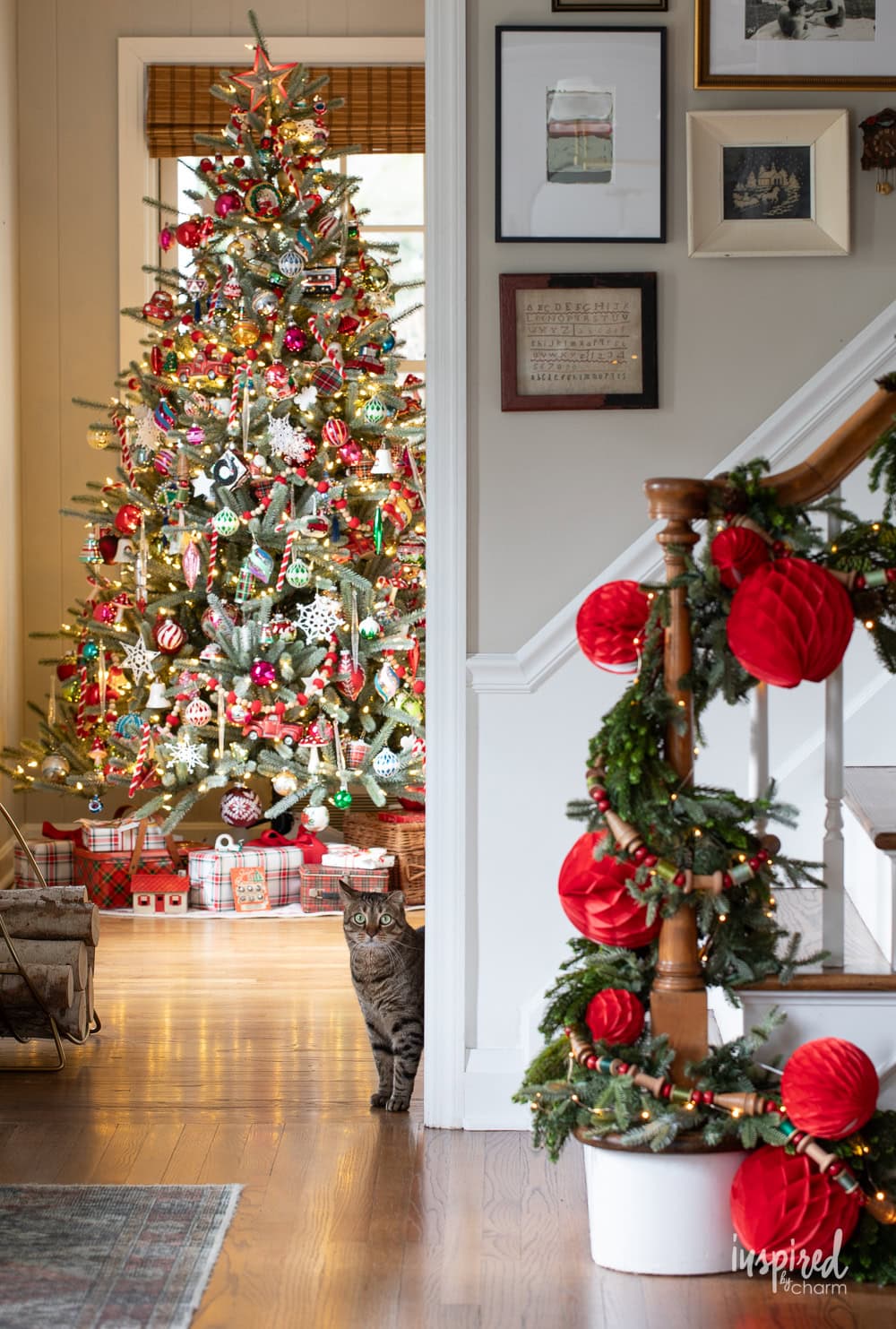 entryway with christmas tree and cat.