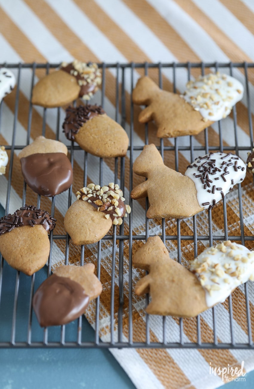 Chocolate Dipped Gingerbread Cookies shaped liked acorns and squirrels for fall! #cookie #gingerbread #fallcookieweek #recipe #chocolate #fallbaking