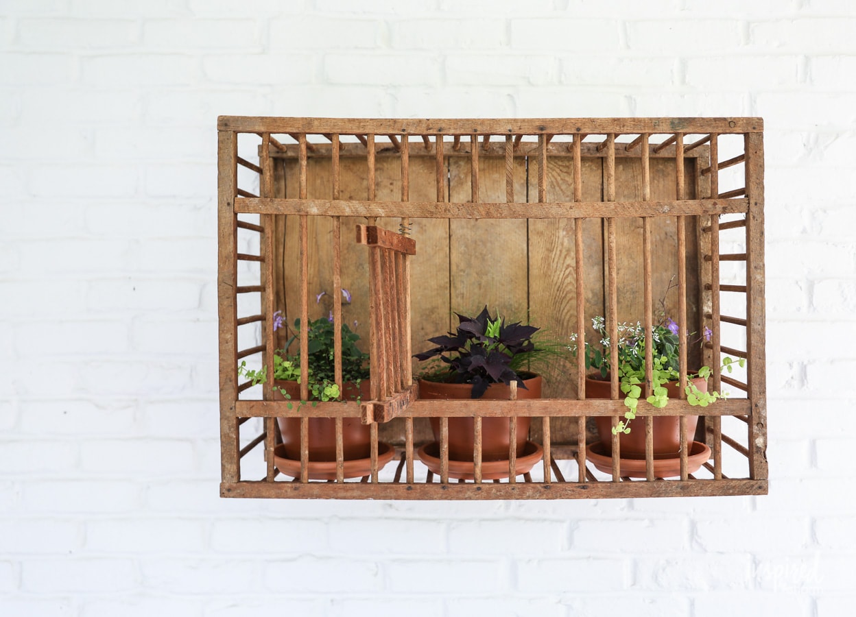 Vintage Chicken Crate: Outdoor Wall Decor #outdoor #wall #decor #decorating #vintage #planter