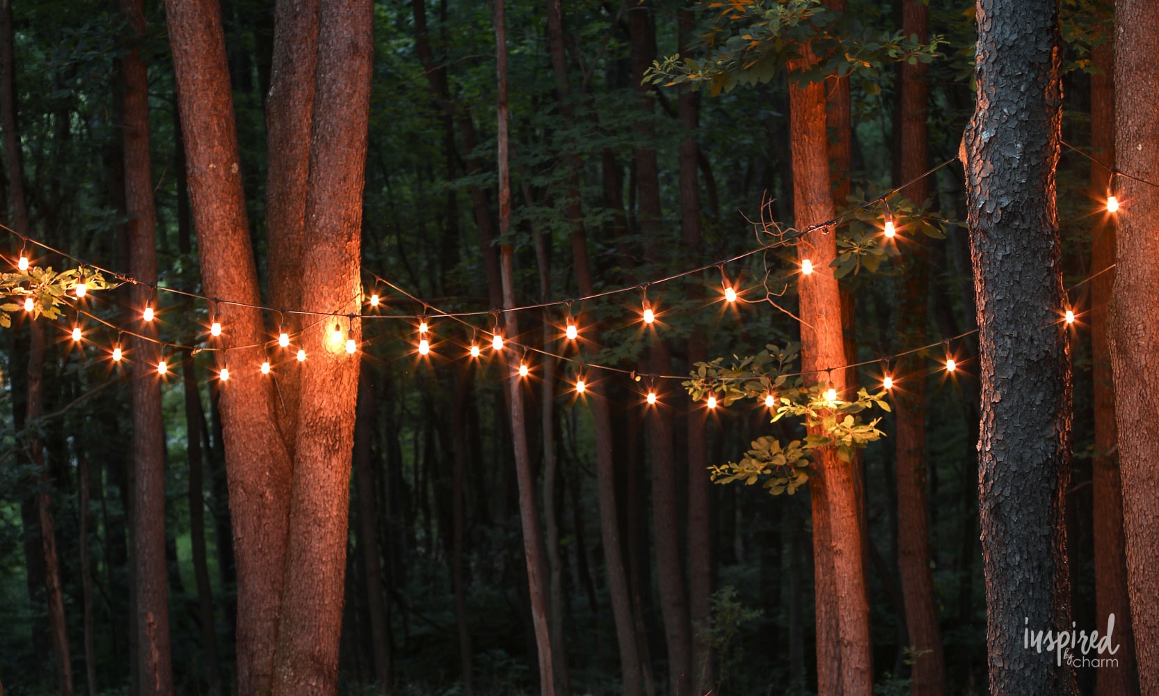 Summer Folk Playlist: Tuesday Tunes #folk #playlist #music #summer #americana