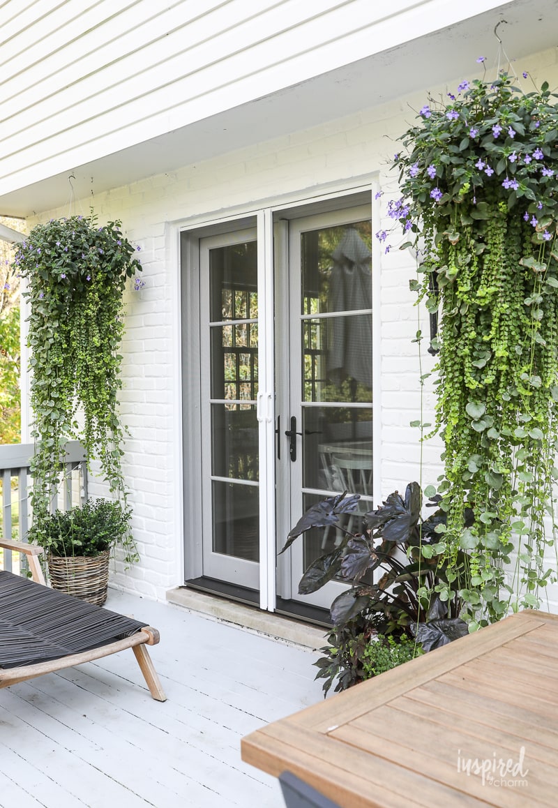 DIY Hanging Basket Plant for Shade #plant #flowers #hangingbasket #shade #container #garden #flowering #combination #hangingflower