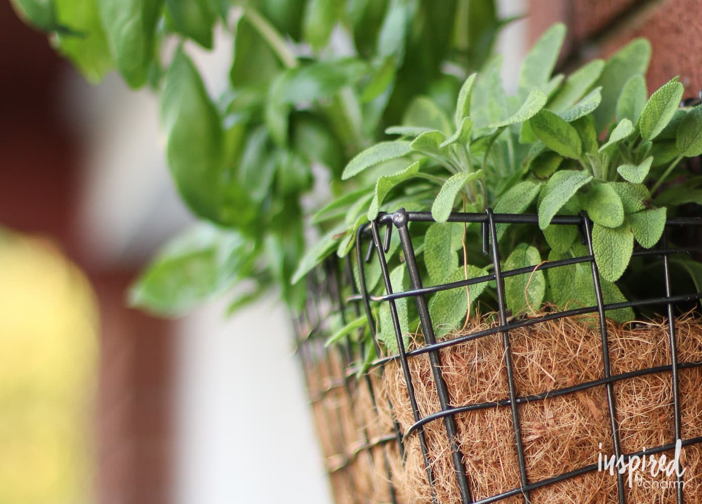 DIY Vertical Herb Garden