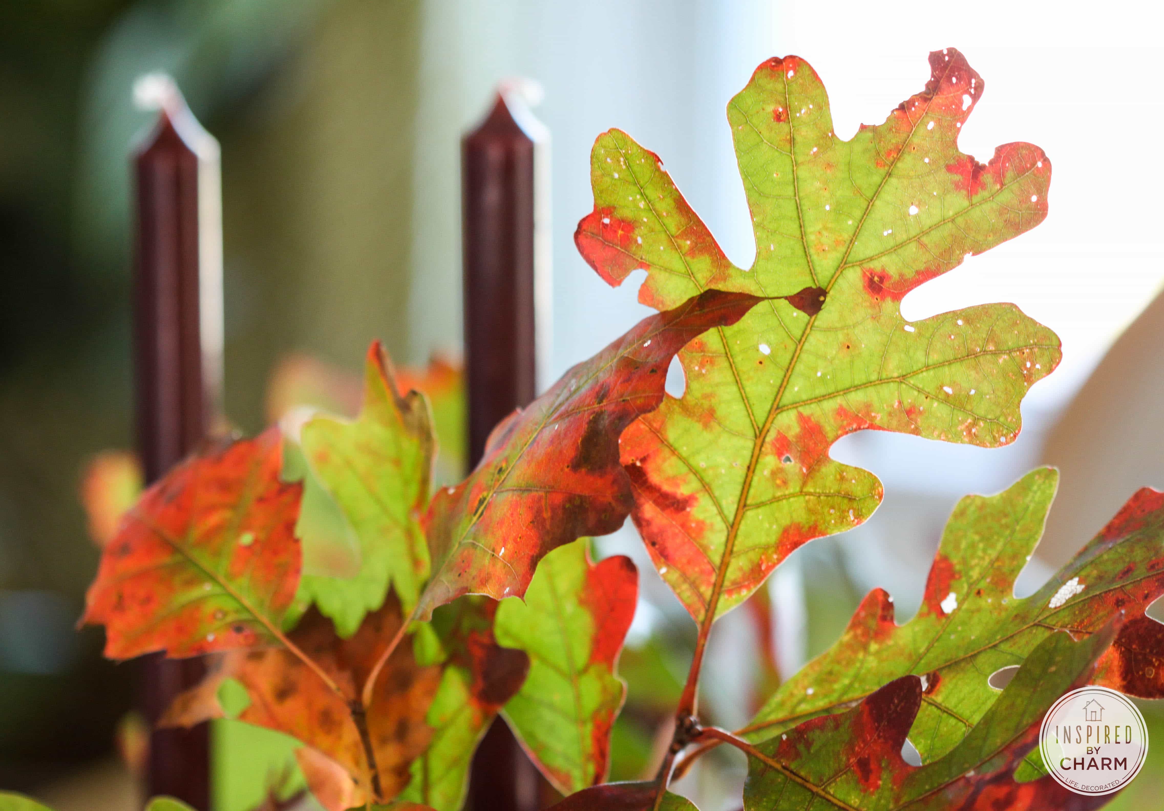 Tips for Styling the Perfect Fall Table Centerpieces
