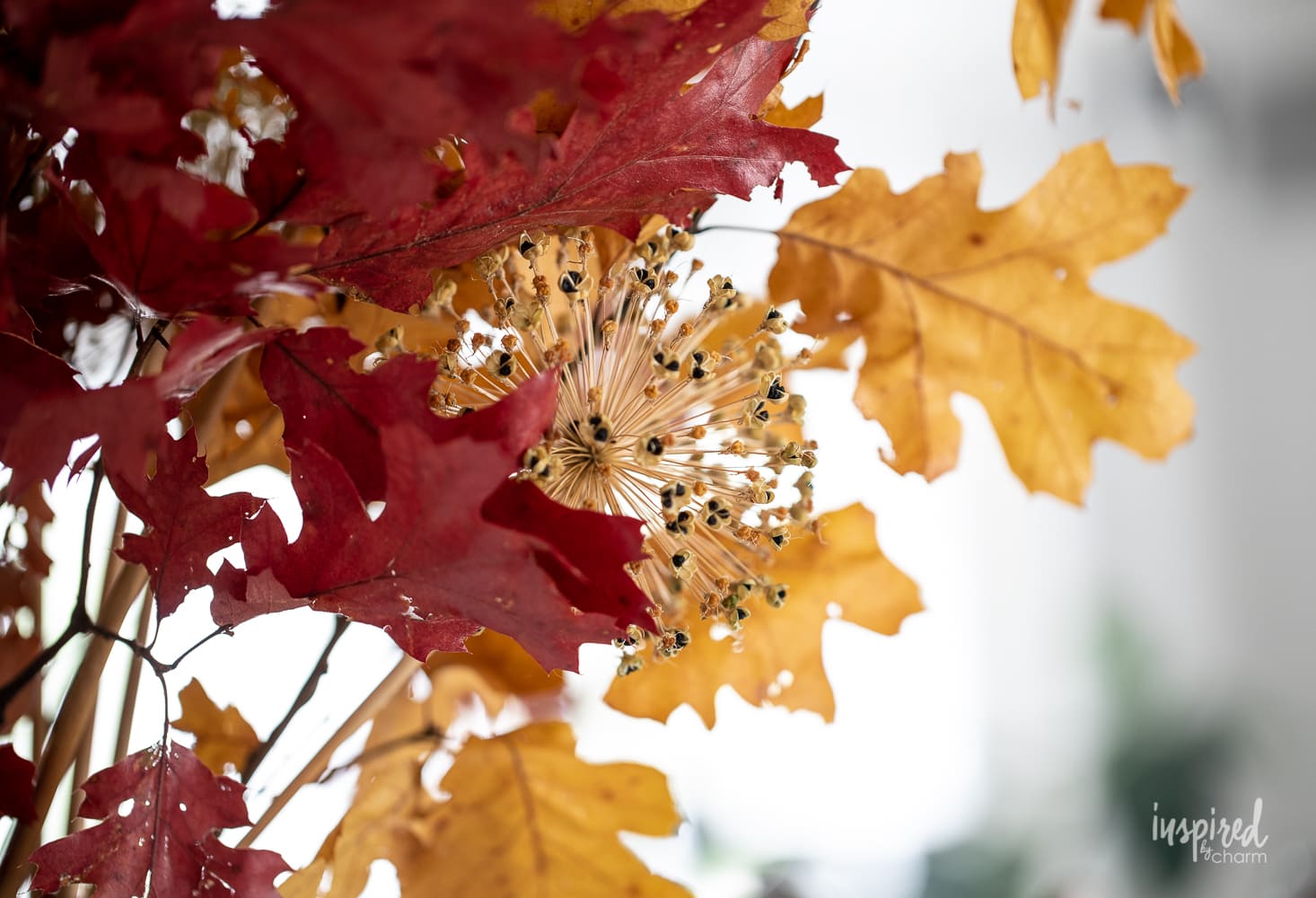 Inexpensive Fall Decorating Ideas #budget #inexpensive #fall #decor #decorating #ideas #autumn #homedecor #seasonaldecor