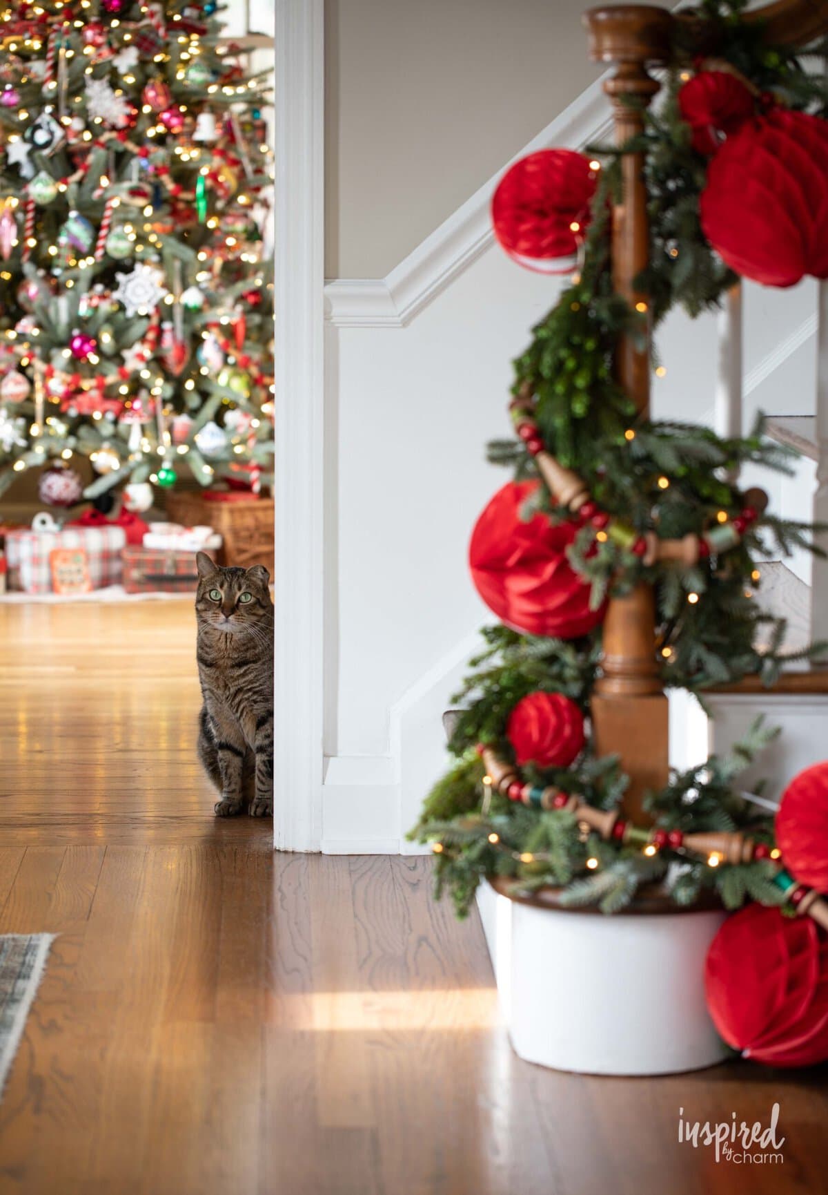 christmas decor with cat.