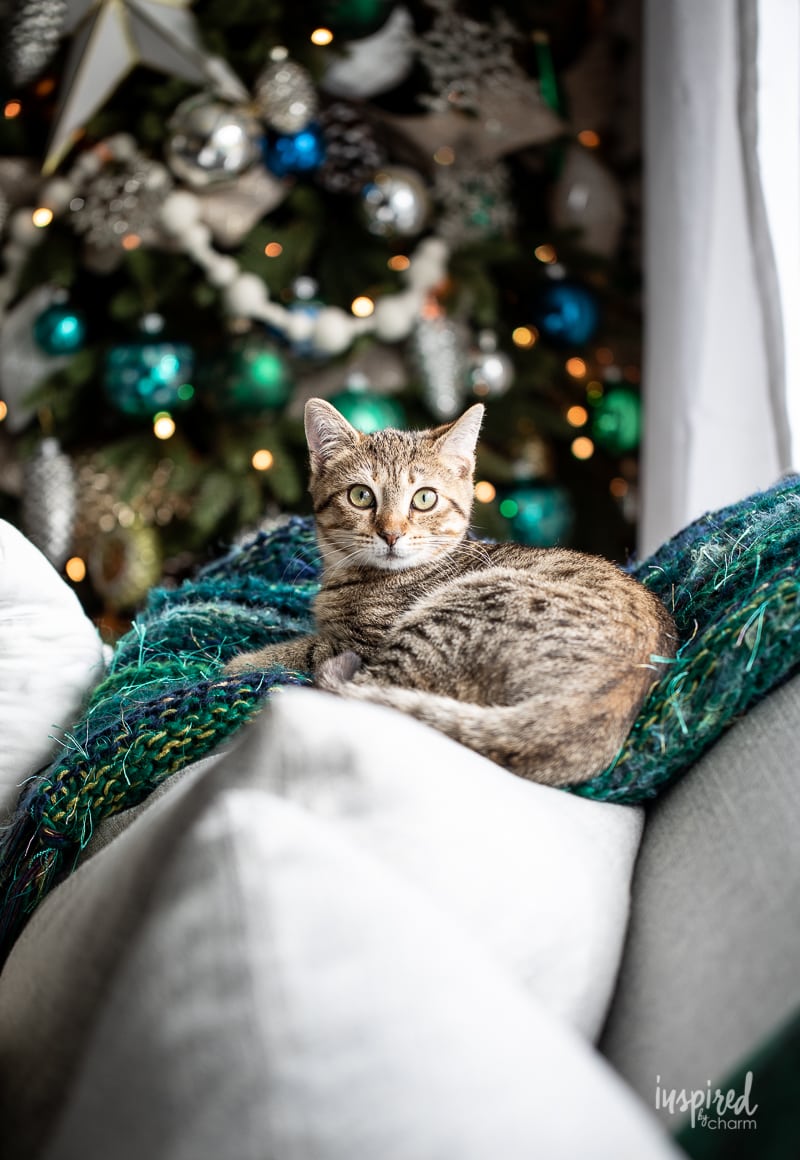 Blue, Green, and White Living Room Christmas Tree #christmastree #christmas #holiday #tree #decor #decorating #livingroom #christmasdecor