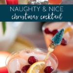 Naughty but Nice Christmas Cocktail #christmas #holiday #cocktail #easy #recipe #cranberry #drink #ChristmasCocktail