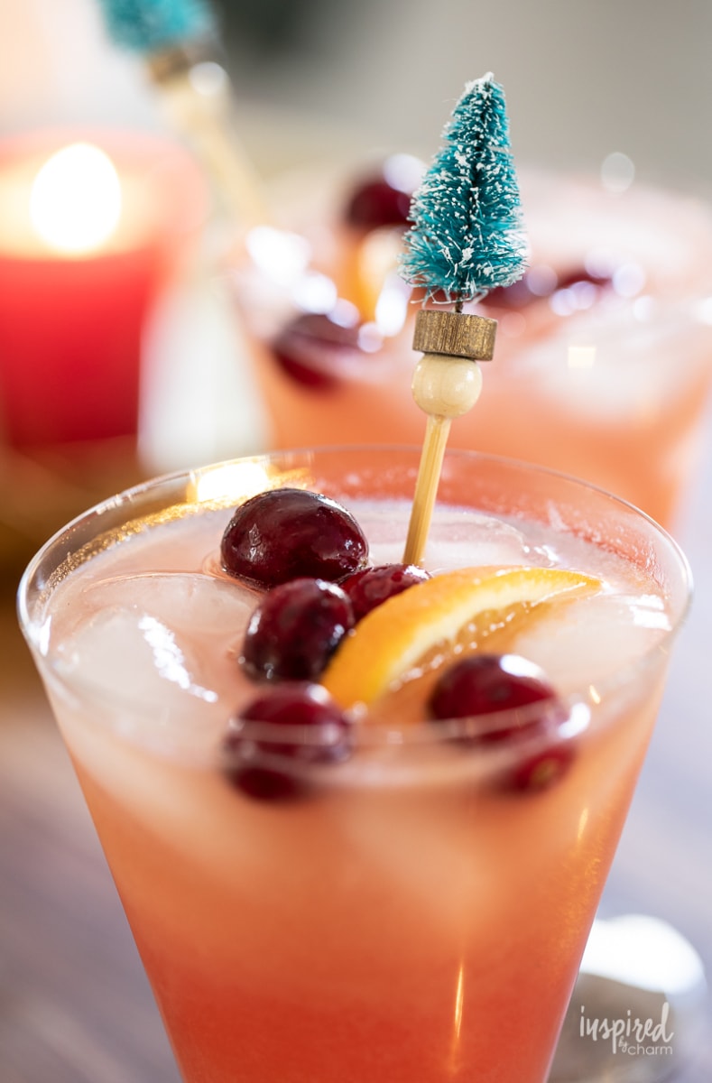 close up Naughty but Nice Christmas Cocktail with cranberries and christmas drink stirrer.