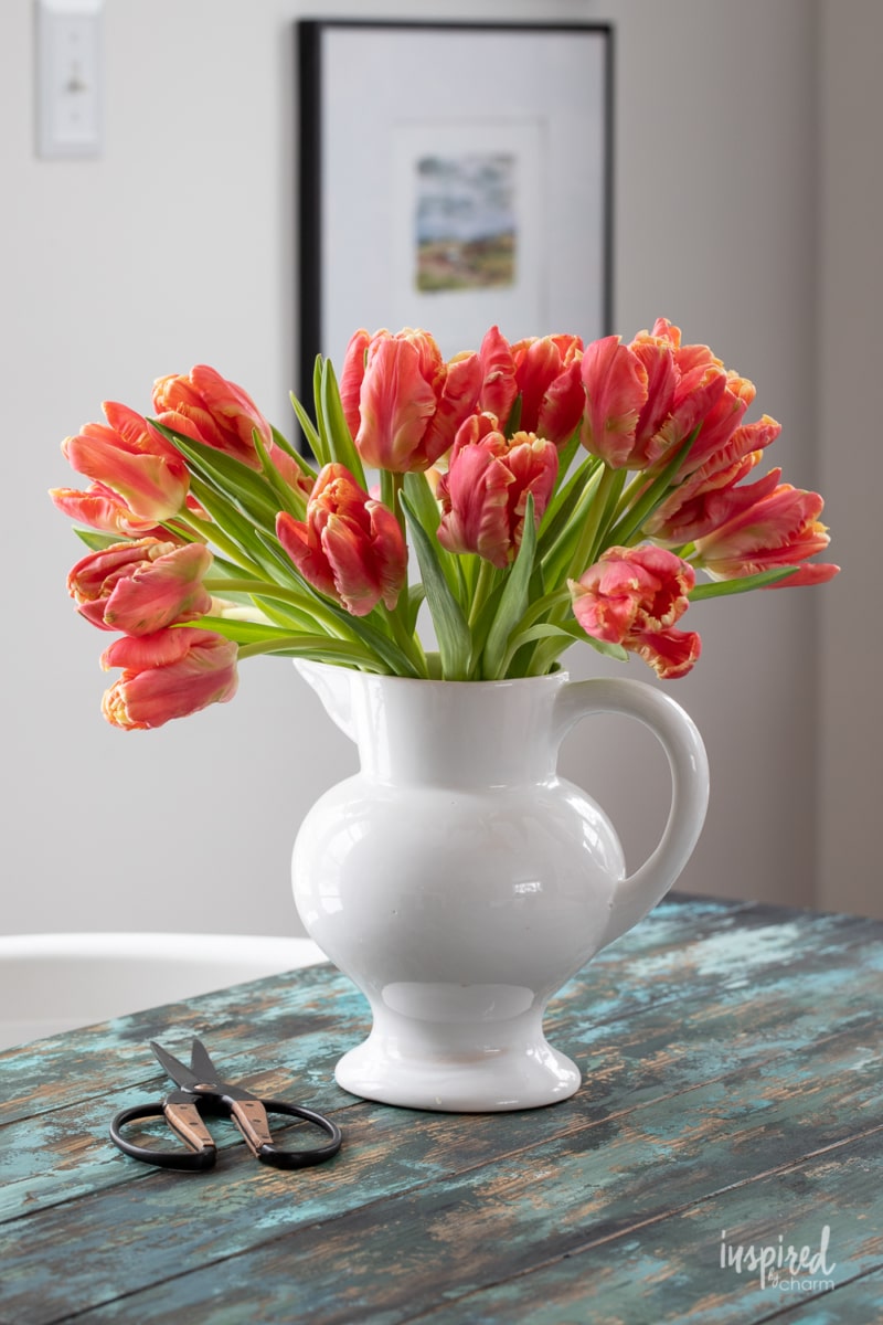 orange parrot tulips