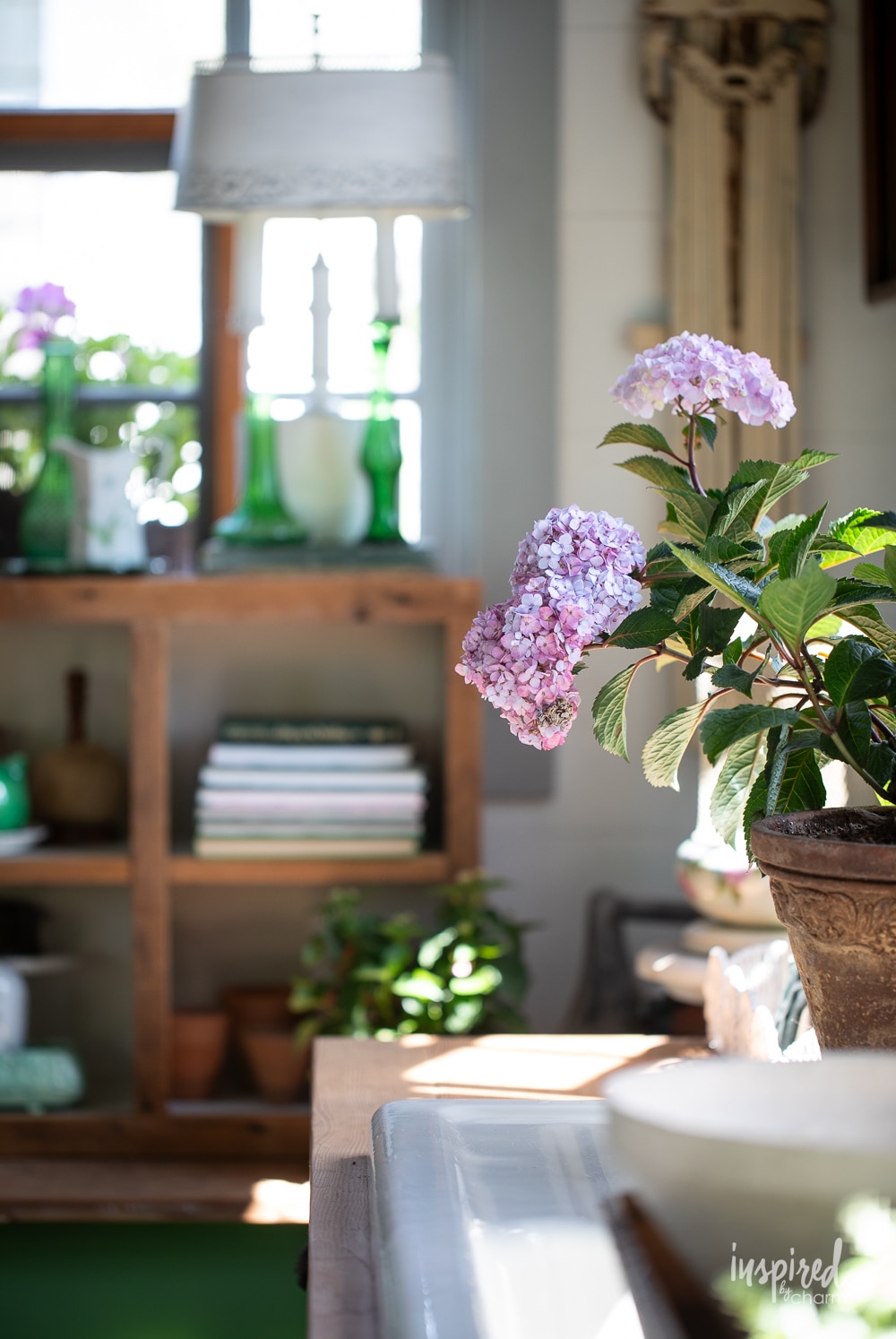pink hydrangea in a garden shed with decor.
