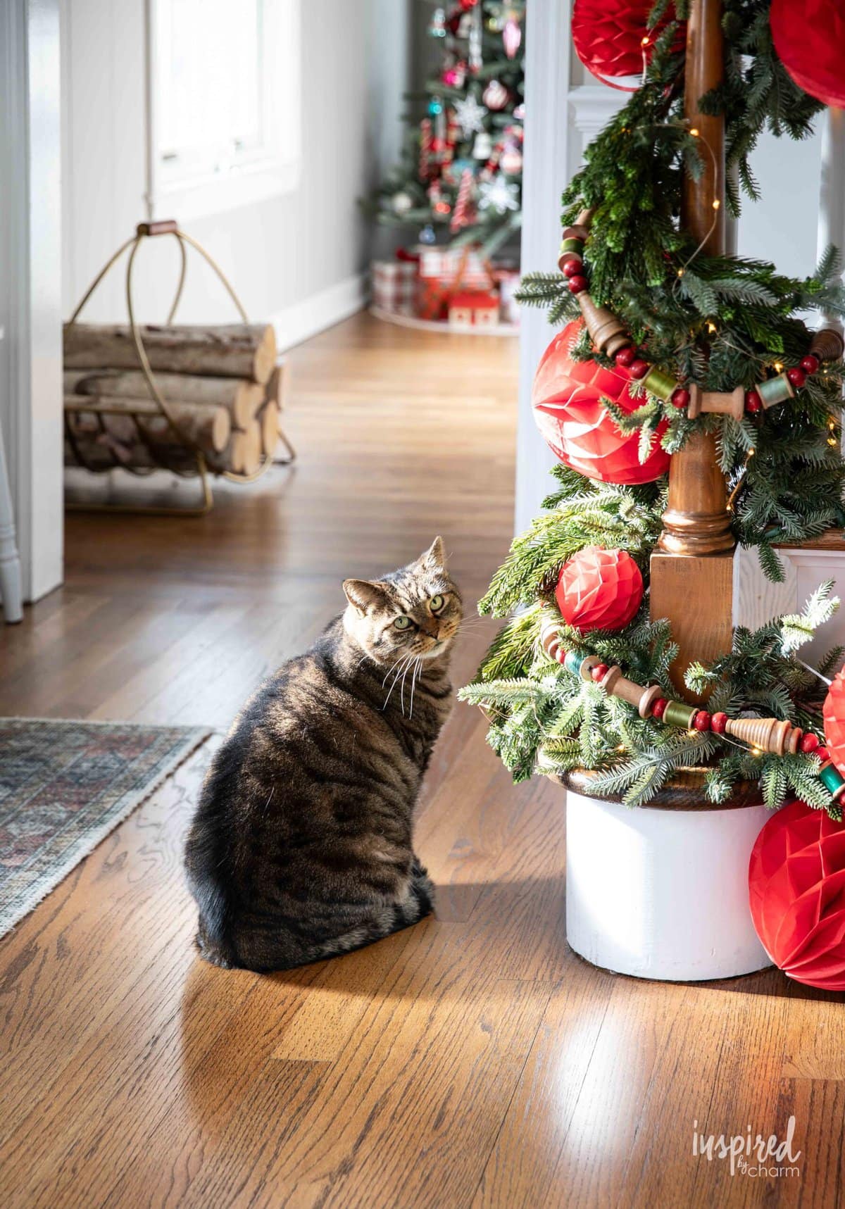 ruby cat next to banister garland.