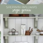 Sherwin-Williams Sage SW 2860 on a color card and painted on pantry shelves.
