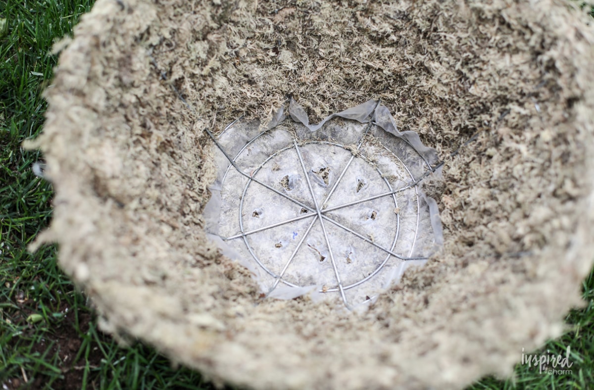 DIY Hanging Basket Plant for Shade #plant #flowers #hangingbasket #shade #container #garden #flowering #combination #hangingflower #creepingjenny #vincavine