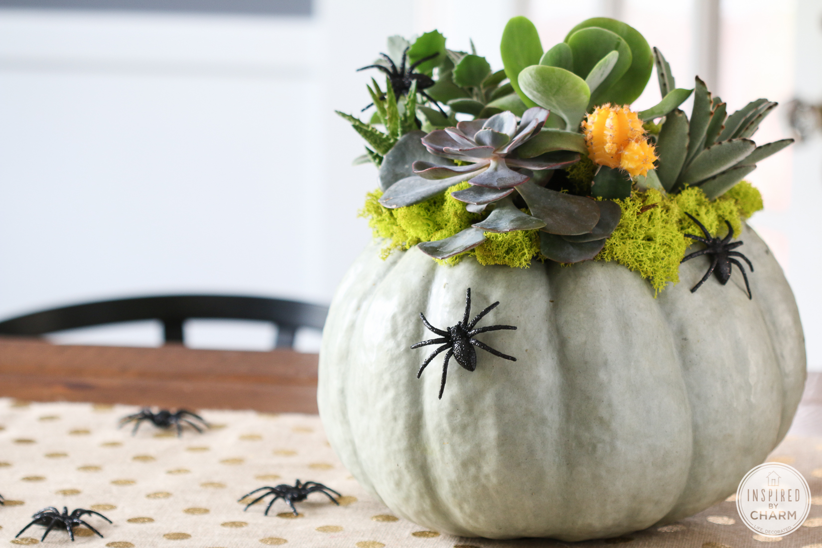 Succulent Pumpkin Planter | Inspired by Charm