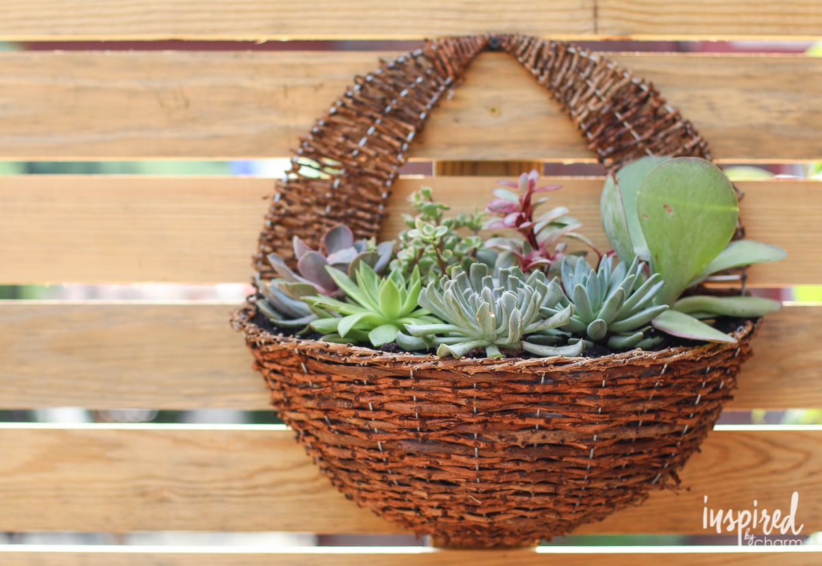 DIY Succulent Wall Planter | Inspired by Charm