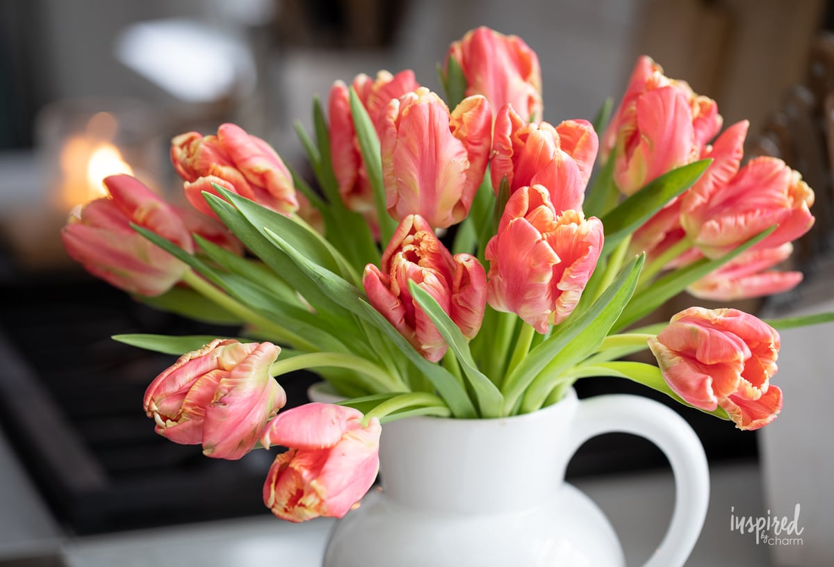 tulip arrangement