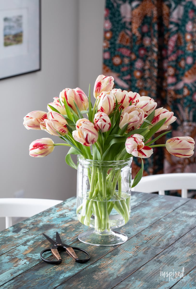 vase of parrot tulips