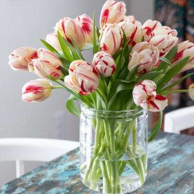 vase of tulips