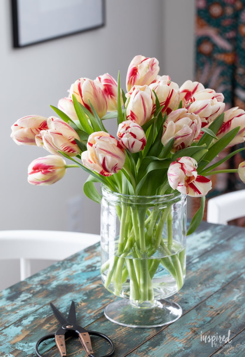 vase of tulips